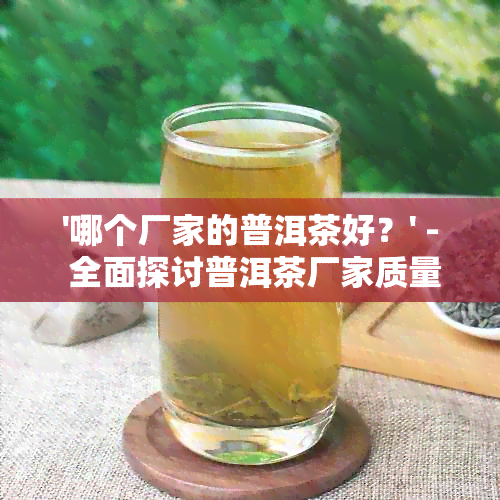 '哪个厂家的普洱茶好？' - 全面探讨普洱茶厂家质量与口感