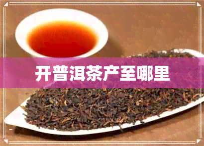 开普洱茶产至哪里