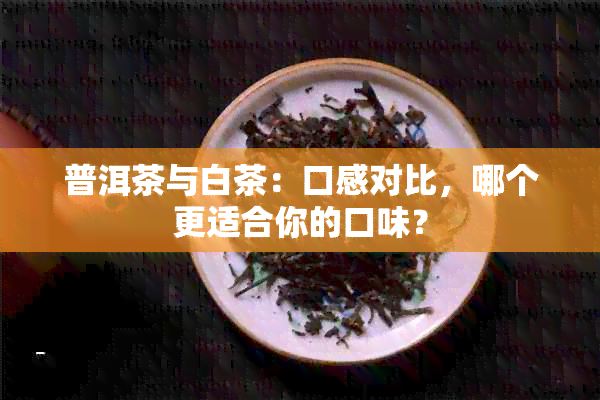 普洱茶与白茶：口感对比，哪个更适合你的口味？