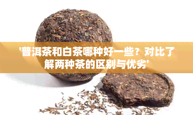 '普洱茶和白茶哪种好一些？对比了解两种茶的区别与优劣'