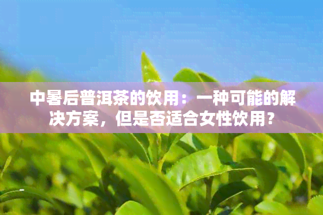 中暑后普洱茶的饮用：一种可能的解决方案，但是否适合女性饮用？