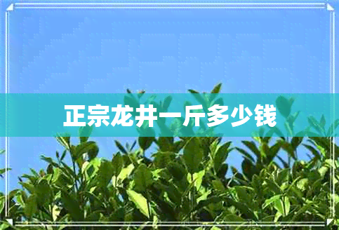 正宗龙井一斤多少钱