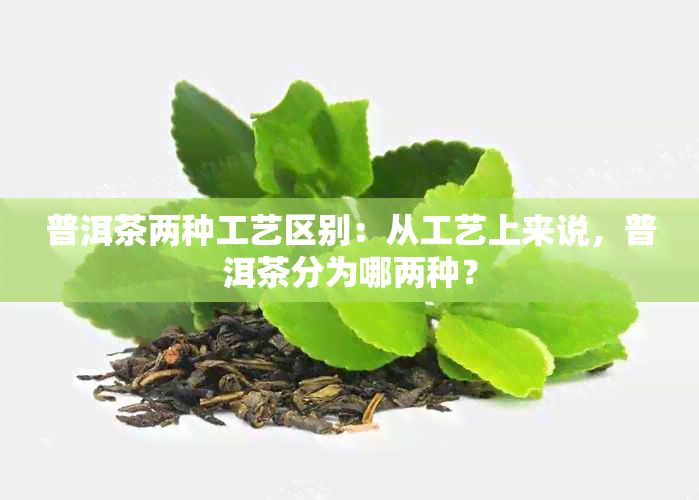 普洱茶两种工艺区别：从工艺上来说，普洱茶分为哪两种？