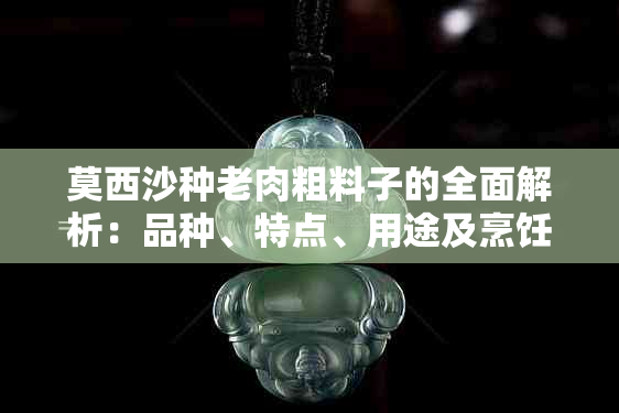 莫西沙种老肉粗料子的全面解析：品种、特点、用途及烹饪方法