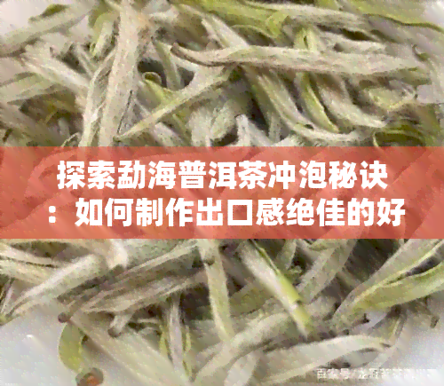 探索勐海普洱茶冲泡秘诀：如何制作出口感绝佳的好喝茶饮