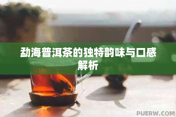 勐海普洱茶的独特韵味与口感解析