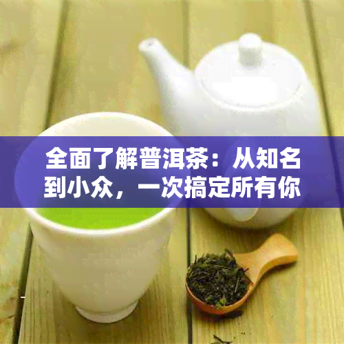 全面了解普洱茶：从知名到小众，一次搞定所有你想知道的牌子