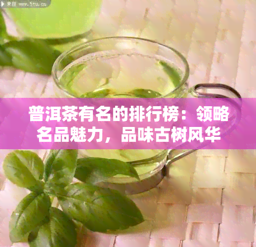 普洱茶有名的排行榜：领略名品魅力，品味古树风华