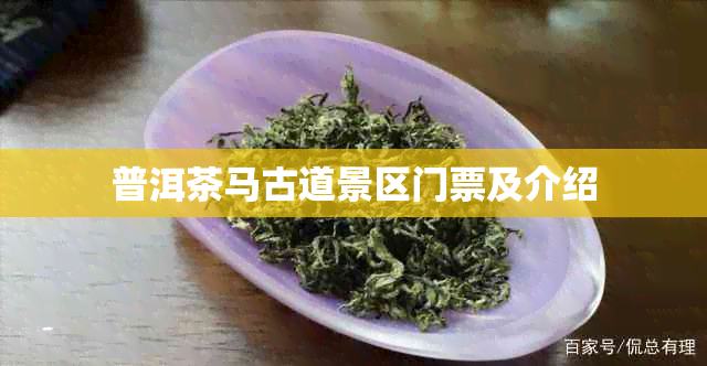 普洱茶马古道景区门票及介绍