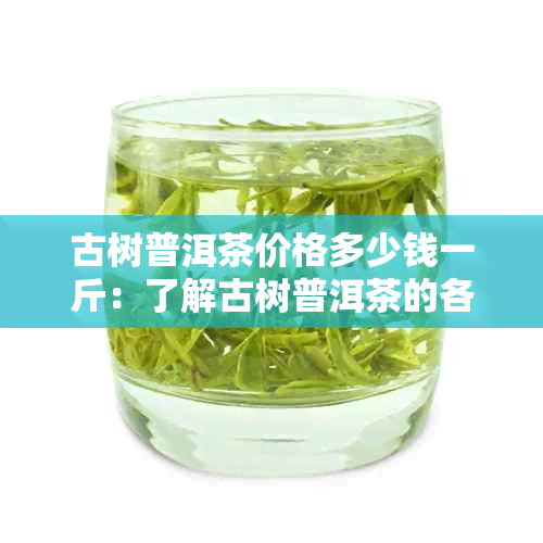 古树普洱茶价格多少钱一斤：了解古树普洱茶的各种价格区间