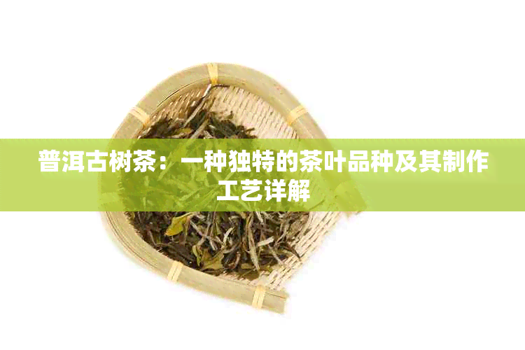 普洱古树茶：一种独特的茶叶品种及其制作工艺详解