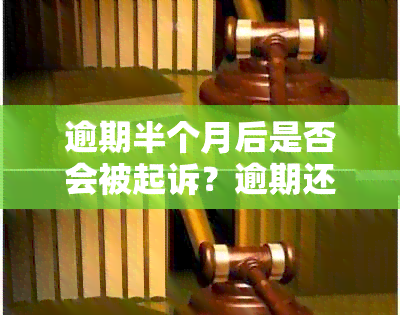 逾期半个月后是否会被起诉？逾期还款的法律后果及应对措详解