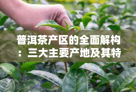 普洱茶产区的全面解构：三大主要产地及其特点