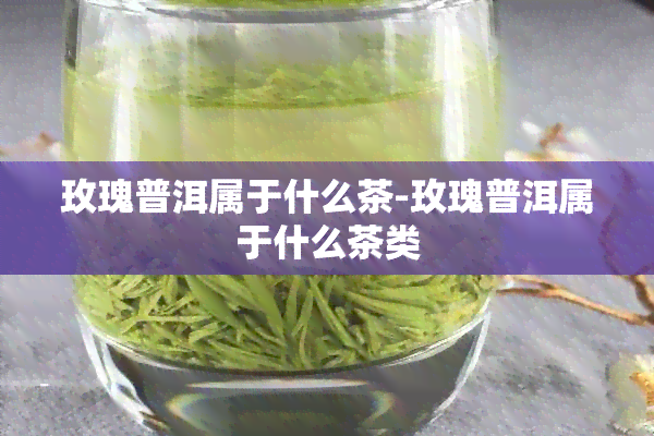 玫瑰普洱属于什么茶-玫瑰普洱属于什么茶类