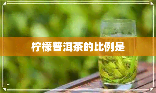 柠檬普洱茶的比例是