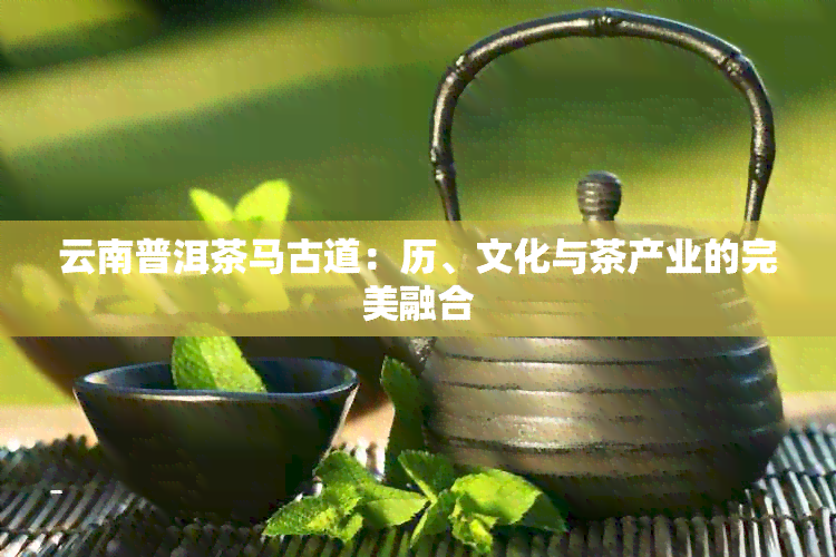 云南普洱茶马古道：历、文化与茶产业的完美融合