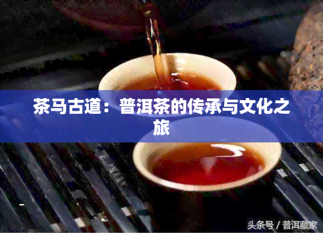 茶马古道：普洱茶的传承与文化之旅