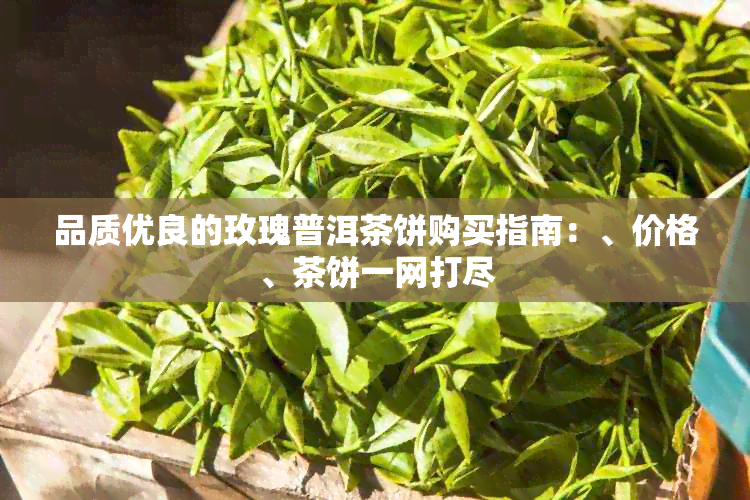 品质优良的玫瑰普洱茶饼购买指南：、价格、茶饼一网打尽