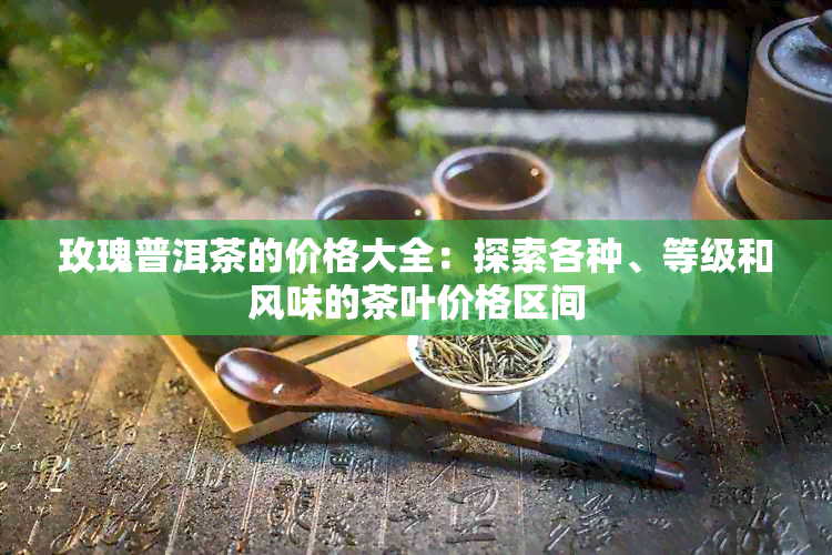 玫瑰普洱茶的价格大全：探索各种、等级和风味的茶叶价格区间