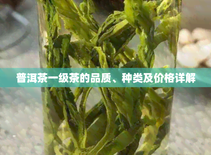 普洱茶一级茶的品质、种类及价格详解