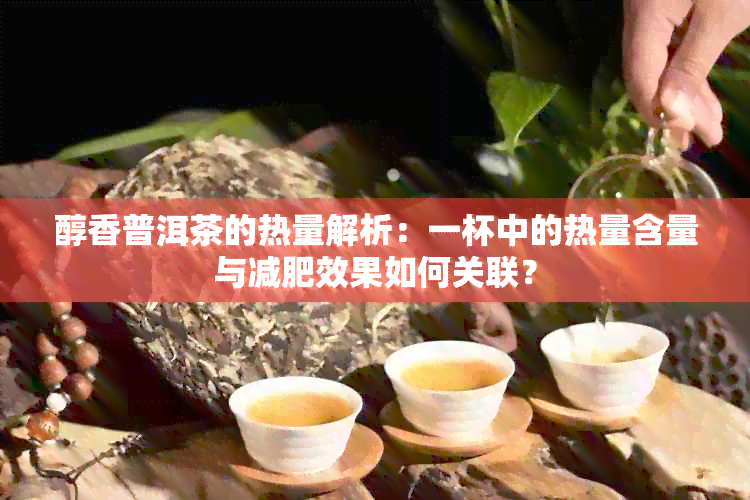 醇香普洱茶的热量解析：一杯中的热量含量与减肥效果如何关联？