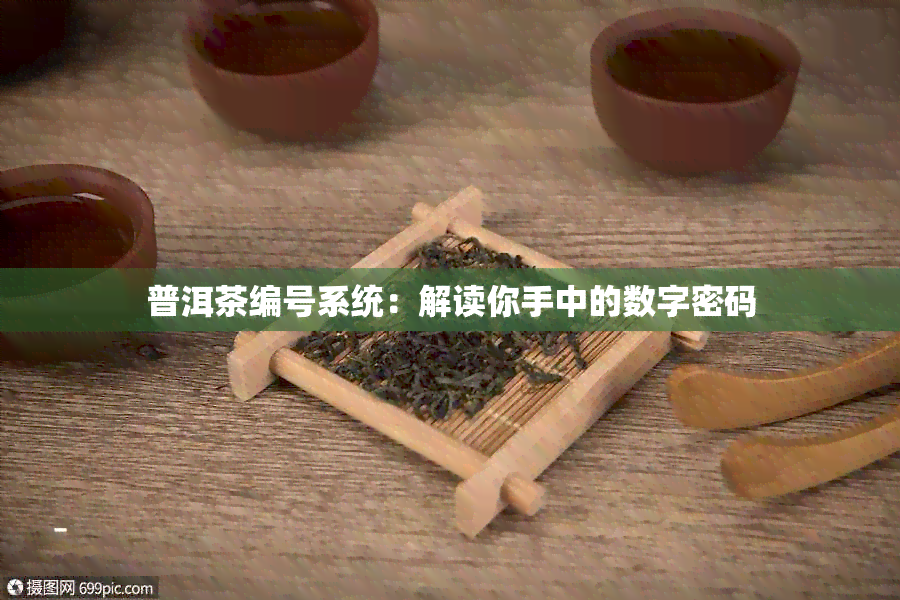 普洱茶编号系统：解读你手中的数字密码