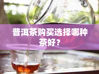 普洱茶购买选择哪种茶好？