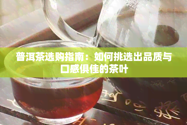 普洱茶选购指南：如何挑选出品质与口感俱佳的茶叶