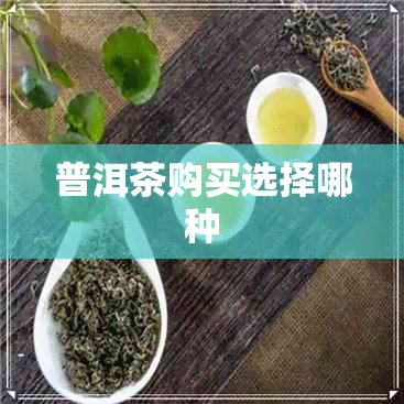 普洱茶购买选择哪种