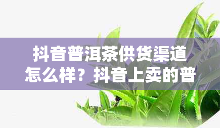 抖音普洱茶供货渠道怎么样？抖音上卖的普洱茶叶质量如何？