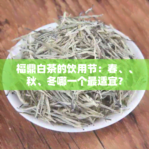 福鼎白茶的饮用节：春、、秋、冬哪一个最适宜？