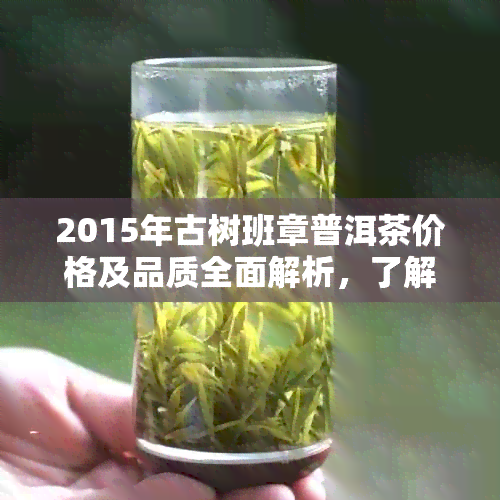 2015年古树班章普洱茶价格及品质全面解析，了解购买建议与市场趋势