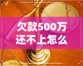 欠款500万还不上怎么办