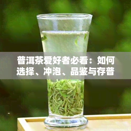 普洱茶爱好者必看：如何选择、冲泡、品鉴与存普洱茶，全方位解答您的疑问