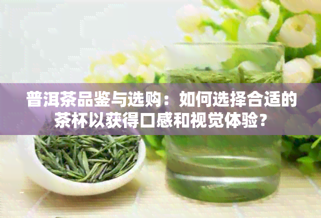 普洱茶品鉴与选购：如何选择合适的茶杯以获得口感和视觉体验？