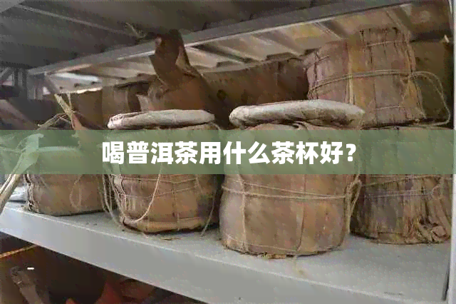 喝普洱茶用什么茶杯好？