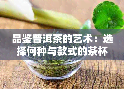 品鉴普洱茶的艺术：选择何种与款式的茶杯才能更好地体验其风味？