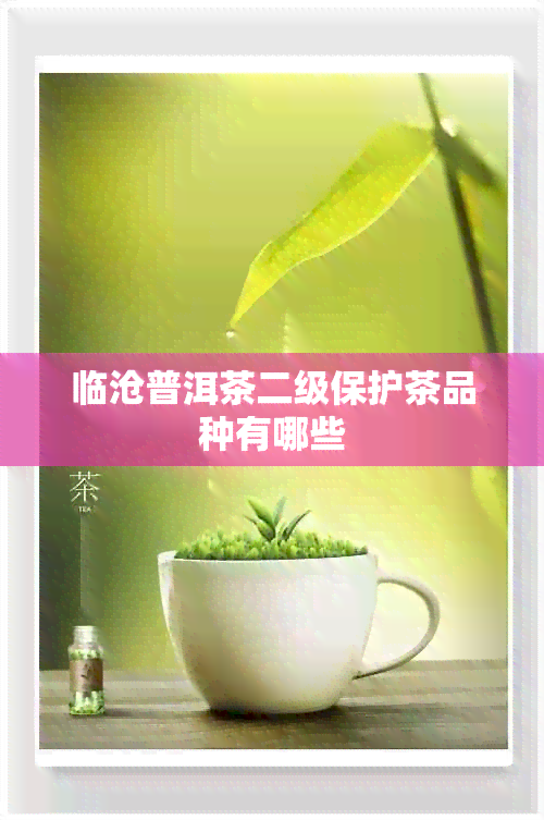 临沧普洱茶二级保护茶品种有哪些