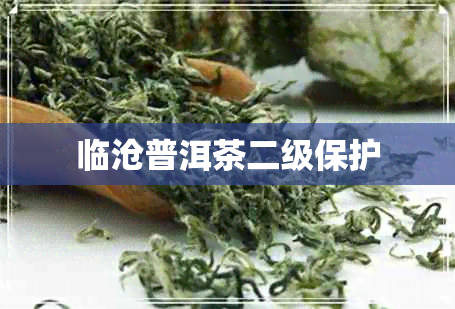 临沧普洱茶二级保护