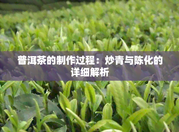 普洱茶的制作过程：炒青与陈化的详细解析