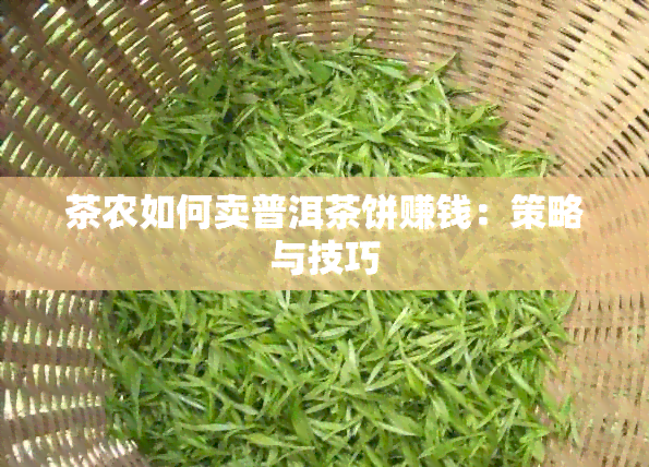 茶农如何卖普洱茶饼赚钱：策略与技巧