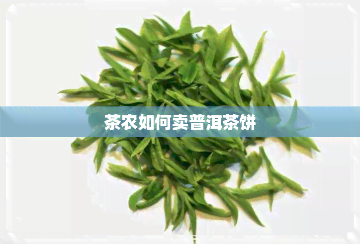 茶农如何卖普洱茶饼