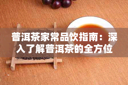 普洱茶家常品饮指南：深入了解普洱茶的全方位体验