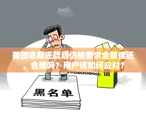 美团逾期还款后仍被要求全额偿还，合理吗？用户该如何应对？