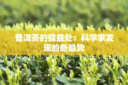 普洱茶的健益处：科学家发现的新趋势