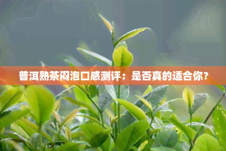 普洱熟茶闷泡口感测评：是否真的适合你？