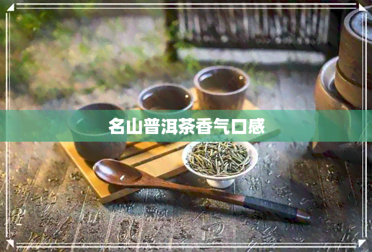 名山普洱茶香气口感