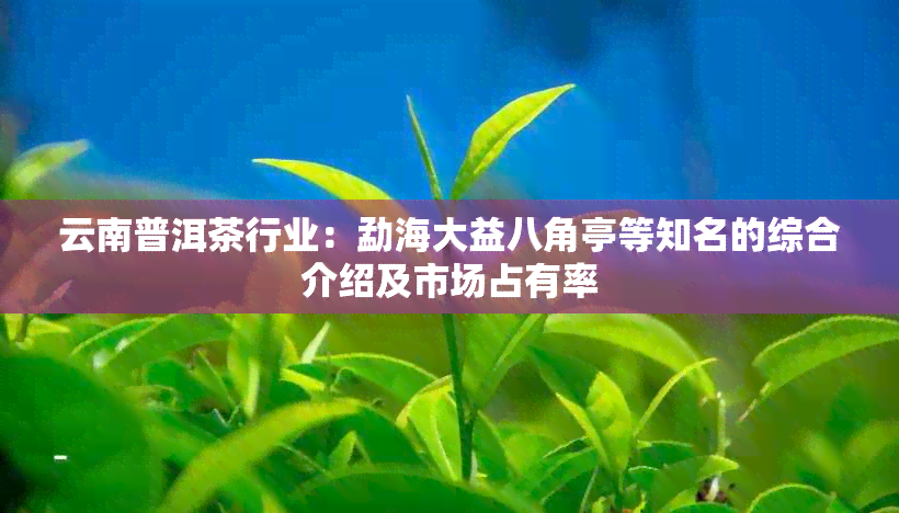 云南普洱茶行业：勐海大益八角亭等知名的综合介绍及市场占有率