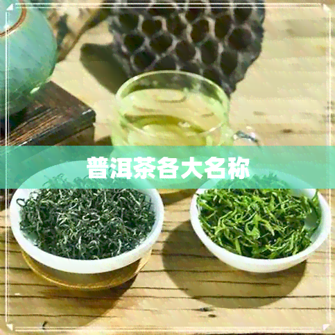 普洱茶各大名称