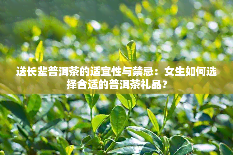 送长辈普洱茶的适宜性与禁忌：女生如何选择合适的普洱茶礼品？